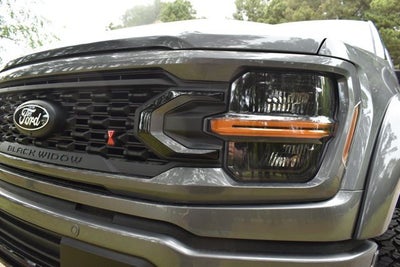 2025 Ford F-150 XLT BLACK WIDOW