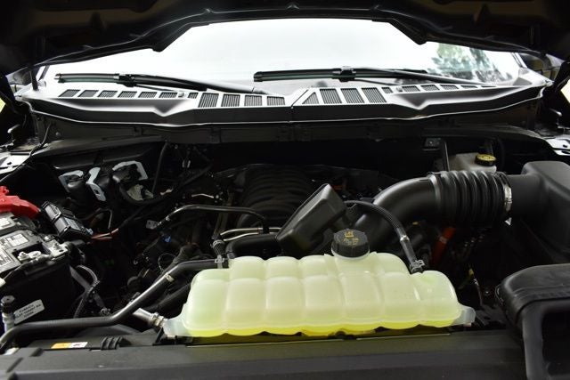 2025 Ford F-150 XLT BLACK WIDOW