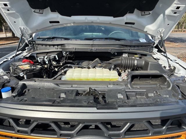 2024 Ford F-150 Tremor